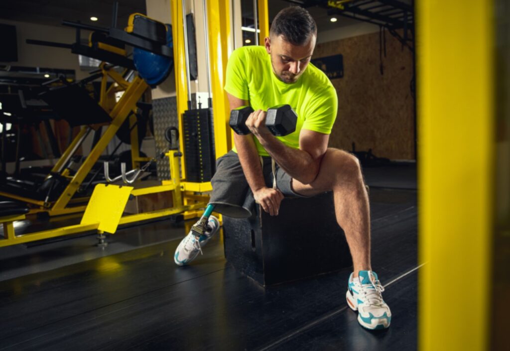 הפיבולה היא